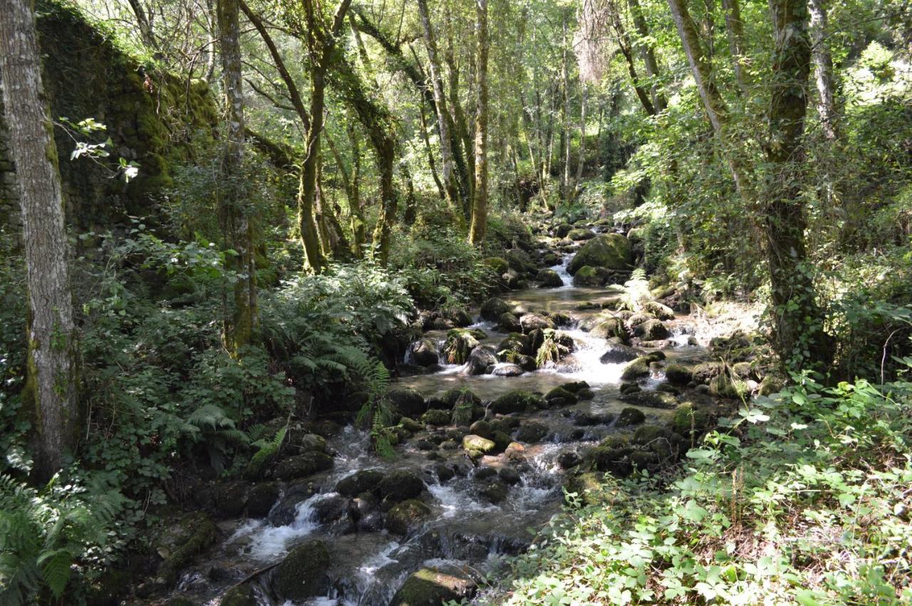 Olar De Rabacallos Esterno foto